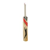 Slazenger V-100 Prodigy Cricket Bat,  Small  Kashmir Willow 