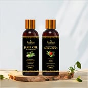 1 - Roopayur Anti Hairfall Combo, 2 Piece(s)/Pack Hair Oil + Anti Hair fall & Anti Dandruff Shampoo