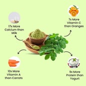 7 - Vlado's Himalayan Organics Organic Moringa Powder, 200 g