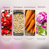 4 - VLCC Skin Tightening Facial Kit,  252 g  for All Skin Types  (6 Facials - 240g + 12ml) 