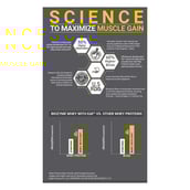 3 - MuscleBlaze Biozyme Iso-Zero,  2.2 lb  Low Carb Blue Tokai Cafe Latte