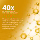 4 - Rasayanam Curcumin+,  60 capsules 