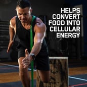 8 - ON (Optimum Nutrition) Zinc Magnesium Aspartate (ZMA),  60 capsules 