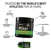 2 - ON (Optimum Nutrition) Instantized BCAA 5000,  0.55 lb  30 Servings  Fruit Punch 