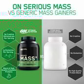 4 - ON (Optimum Nutrition) Serious Mass,  6.6 lb  Vanilla 