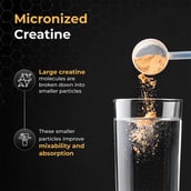 6 - Nutrabay Gold Micronised Creatine Monohydrate, Orange 0.55 lb