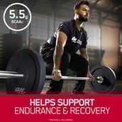 12 - ON (Optimum Nutrition) Gold Standard 100% Whey Protein, 5 sachets/pack Alphonso Mango