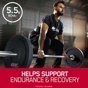 12 - ON (Optimum Nutrition) Gold Standard 100% Whey Protein, 5 sachets/pack Vanilla Ice Cream