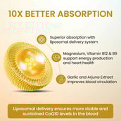 4 - Vlado's Himalayan Organics Liposomal CoQ10 300MG+,  30 veggie capsule(s) 