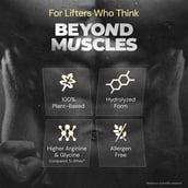 4 - Nutrabay Gold Pea Protein,  2.2 lb  French Vanilla 