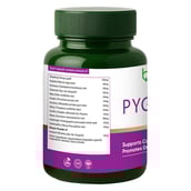 3 - BIOSAP Pygesic,  60 veggie capsule(s) 