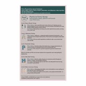 3 - TrueBasics Clean Whey Protein (Isolate + Concentrate),  0.39 lb  Coffee Pack of 5 (35 g x 5)