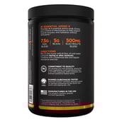 2 - Rule One Essential Amino9,  0.73 lb  30 Servings  Fruit Punch 