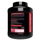 2 - Muscle Performance Anabolic Mass Gainer,  5.5 lb  Creamy Vanilla 