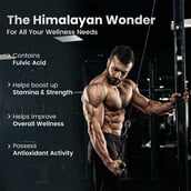 2 - Neuherbs Pure Himalayan Shilajit, 20 g