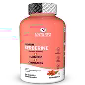 1 - Naturyz Premium Berberine + Cinnamon + Turmeric,  60 capsules 