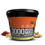 1 - QNT Muscle Mass 3000,  11 lb  Kesar Kaju Pista 