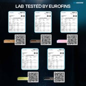 3 - Nutrabay BioAbsorb Whey Protein,  5 sachets/pack  Assorted 