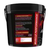 3 - Muscle Performance Anabolic Mass Gainer with Creatine Monohydrate 0.66 lbs & Steel Shaker Combo,  11 lb  Belgium Chocolate 