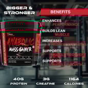 6 - Muscle Performance Anabolic Mass Gainer with Creatine Monohydrate 0.66 lbs & Steel Shaker Combo,  11 lb  Creamy Vanilla 