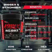 6 - Muscle Performance Anabolic Mass Gainer with Steel Shaker & Gym Bag Combo,  11 lb  Belgium Chocolate 