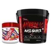 1 - Muscle Performance Anabolic Mass Gainer with Creatine Monohydrate 0.66 lbs Combo,  11 lb  Rabri Kulfi 
