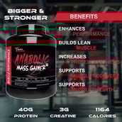 7 - Muscle Performance Anabolic Mass Gainer with Gym Bag Combo, 5.5 lb Belgium Chocolate