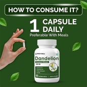 6 - Biotrex Dandelion 500mg, 60 veggie capsule(s)