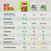 4 - Superyou Pro Fermented Yeast Protein,  5 sachets/pack  Assorted 