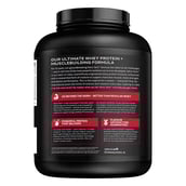 4 - MuscleTech NitroTech Whey Protein,  3.8 lb  Milk Chocolate 