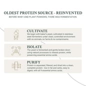 2 - TrueBasics Clean Yeast Protein,  2.2 lb  Coffee