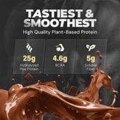 2 - Nutrabay Gold Pea Protein,  0.09 lb  Rich Chocolate Creme (Single Serve) 