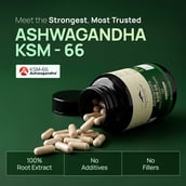 3 - Rasayanam Ashwagandha KSM-66,  60 capsules 