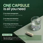 8 - Rasayanam Ashwagandha KSM-66,  60 capsules 