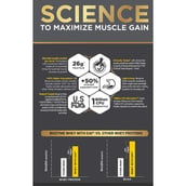 6 - MuscleBlaze Biozyme Gold 100% Whey,  2.2 lb  Chocolate Hazelnut