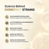 10 - MuscleBlaze Biozyme Gold 100% Whey,  4.4 lb  Chocolate Hazelnut