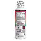 3 - White Wolf L-Carnitine with Vitamin B5, 450 ml Strawberry Kiwi