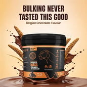 5 - BeastLife Anabolic Mass Gainer,  11 lb  Belgian Chocolate 