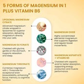 3 - Vlado's Himalayan Organics Liposomal 5X Magnesium Complex 2100mg, Unflavoured 120 veggie capsule(s)