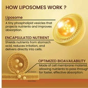 7 - Vlado's Himalayan Organics Liposomal Curcumin 95% Curcuminoids 2200mg+, 60 tablet(s)