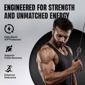 4 - BeastLife Creatine Monohydrate, Litchi 1.1 lb