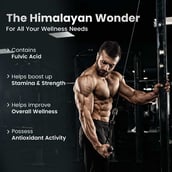 2 - Neuherbs Pure Himalayan Shilajit, 20 g
