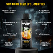 6 - BeastLife L-Carnitine with Vitamin B5 Liquid 1100mg, 450 ml Mango