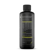 4 - BeastLife L-Carnitine with Vitamin B5 Liquid 1100mg, 450 ml Mojito
