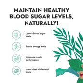 6 - Kapiva Karela Jamun Juice (Supports Healthy Blood Sugar),  Unflavoured  1 L 