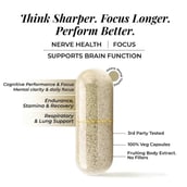 2 - Rooted Active Naturals Lion's Mane Organic Mushroom Extract,  90 veggie capsule(s) 