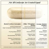 6 - Rooted Active Naturals Cordyceps Militaris Organic Mushroom Extract, 60 veggie capsule(s)