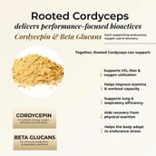 7 - Rooted Active Naturals Cordyceps Militaris Organic Mushroom Extract, 45 g