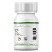 3 - INLIFE Green Tea Extract (500mg), 60 veggie capsule(s) Unflavoured