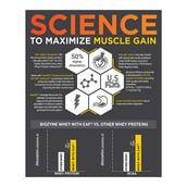 5 - MuscleBlaze Biozyme Whey PR,  2.2 lb  Molten Chocolate Cake